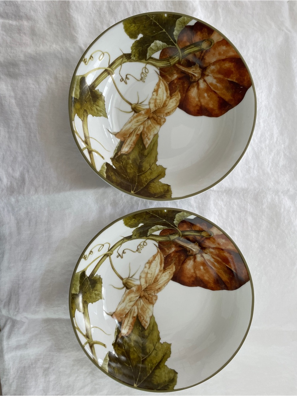 Williams Sonoma Botanical Pumpkin Coupe Soup Bowls 8.75” (Set of 2)